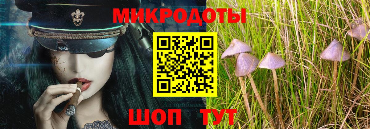 Псилоцибиновые грибы Psilocybine cubensis Гагарин