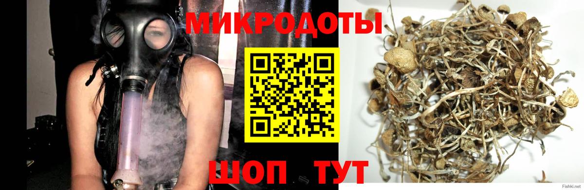 где продают наркотики  Псилоцибиновые грибы ЛСД  Вход с VPN  Гагарин 